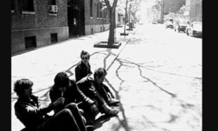 2fly clients - Hoggboy