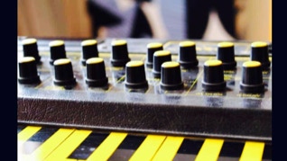 EDM Wasp synthesizer - 2fly studios